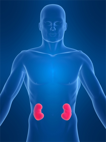 kidney-disease